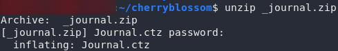 Unzipping the file using the found password