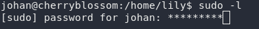 Asterisks appear when we type Johan's password to use sudo