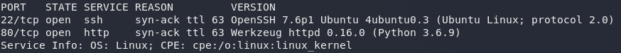 Result of the nmap scan -- two open ports