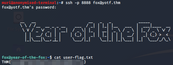 Logging in over SSH and outputting the user flag
