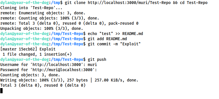 Screenshot showing the application of the git hooks exploit